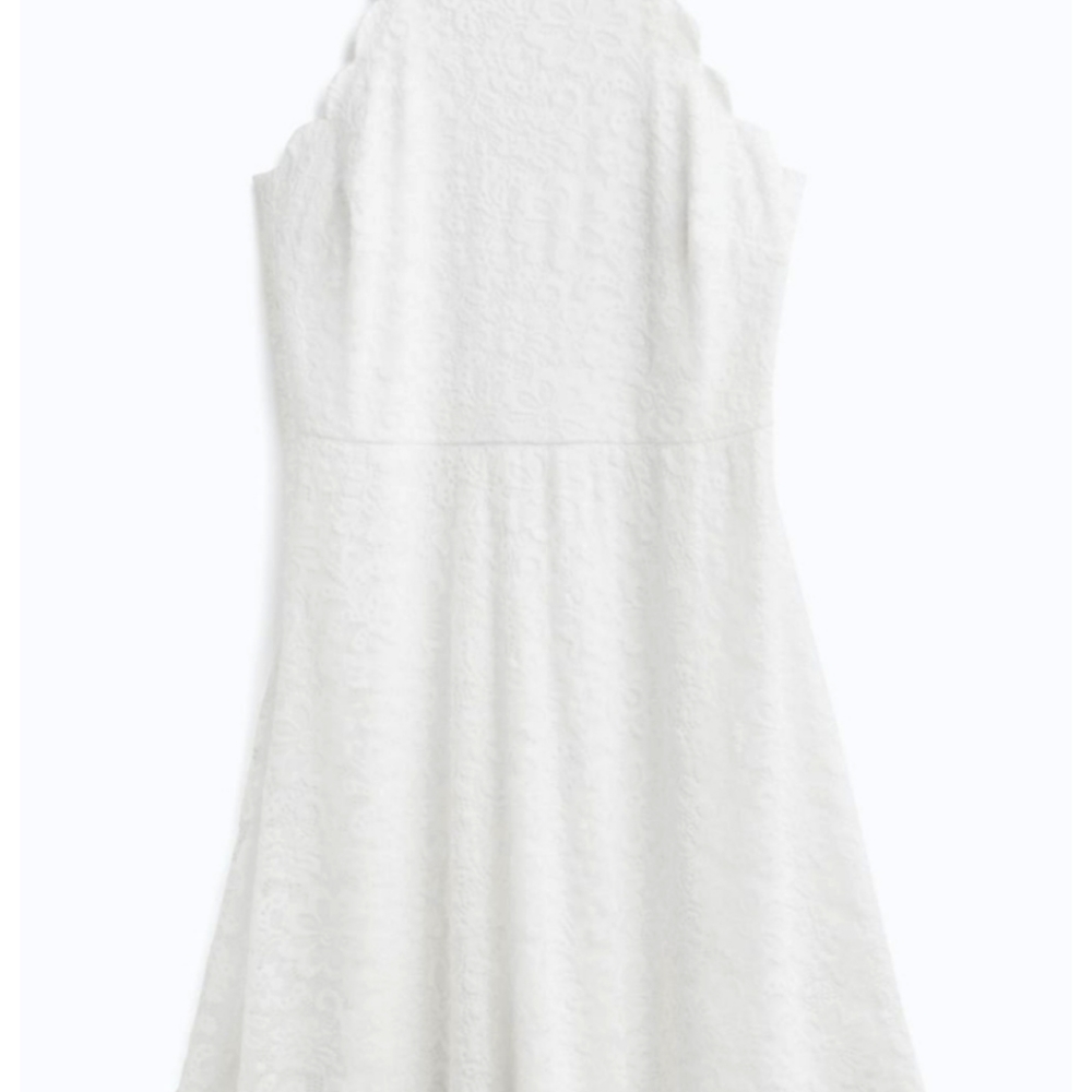 Fortune & Ivy Chandler Lace Scalloped Dress
